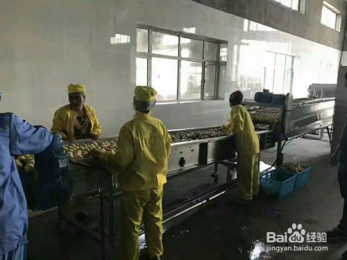 RF67減速機(jī)與擺線針輪減速機(jī)選型指南 聚焦B系列擺線針輪減速機(jī)